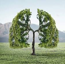 Product Innovation and Sustainability
